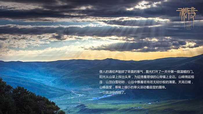 植物大战僵尸17