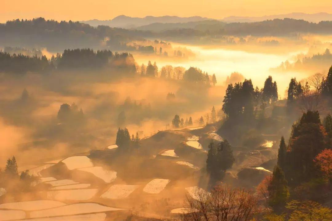 海鲜怎么吃才健康游戏画面