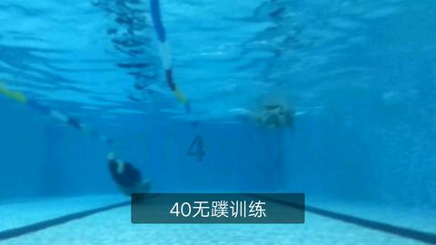 “龙腾书海 春满文苑”，国家图书馆春节文化活动邀市民过大年