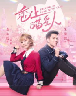 美式橄榄球大赛