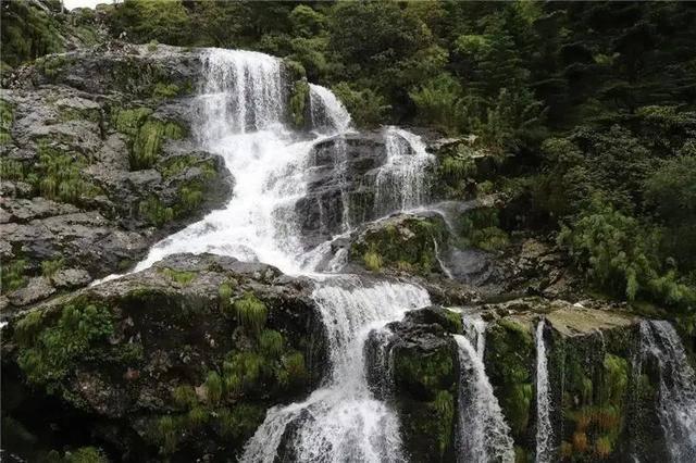 电饭煲怎么做糖炒栗子游戏画面