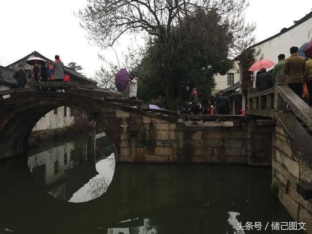 射击红色鸟